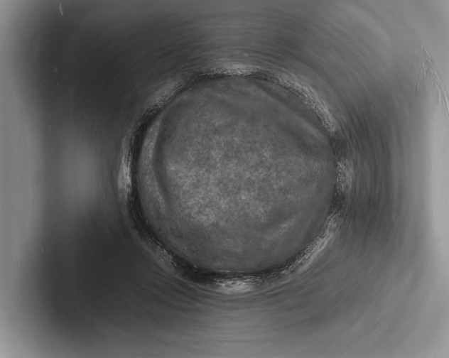 X0000103250358200809111620