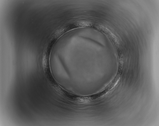 X0000103250359200809111620