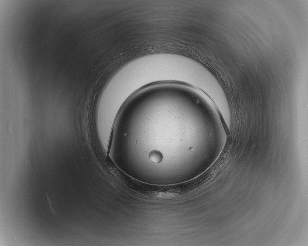 X0000103250360200809111620