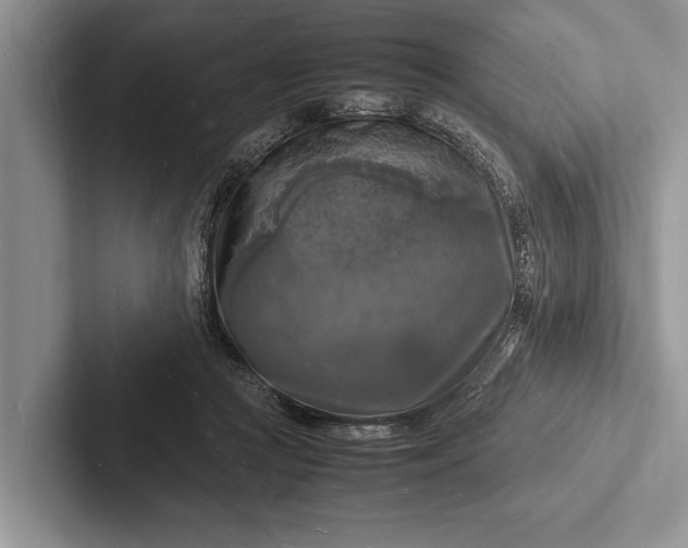 X0000103250361200809111620