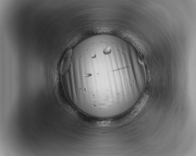 X0000103250362200809111620