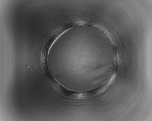 X0000103250365200809111620