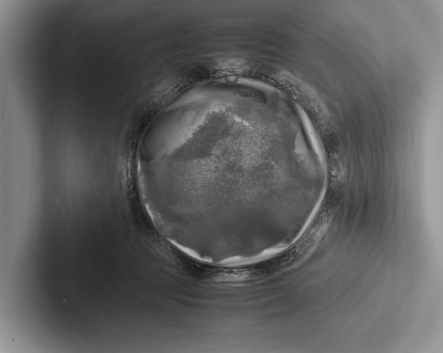 X0000103250369200809111620