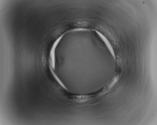 X0000103250371200809111620