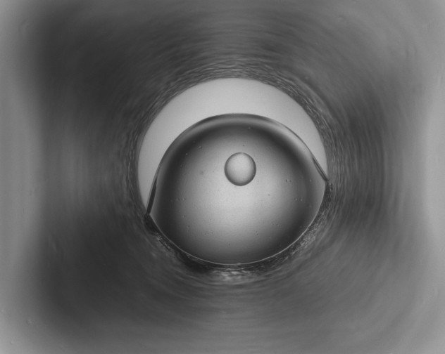 X0000103250372200809111620