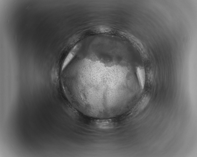 X0000103250373200809111620