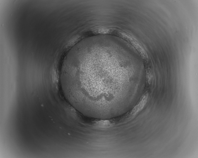 X0000103250374200809111620