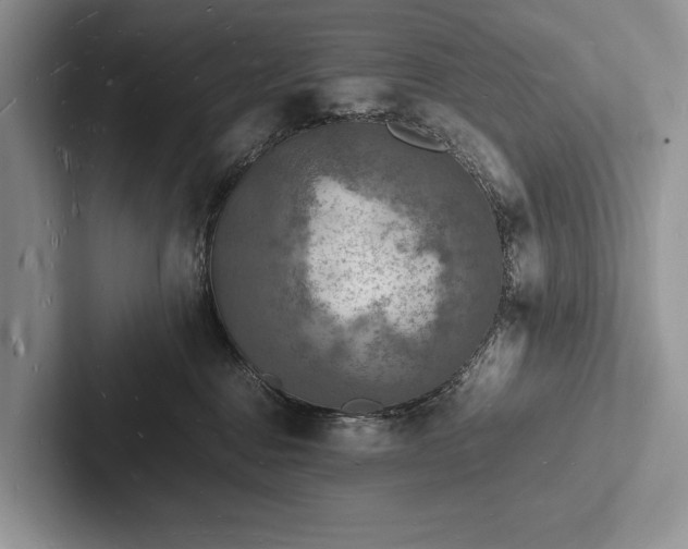 X0000103250376200809111620