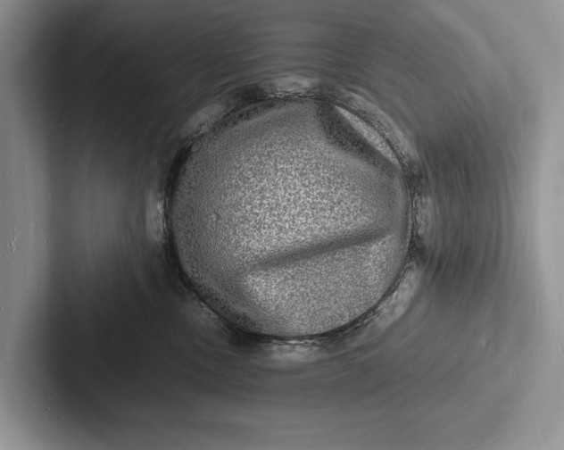 X0000103250378200809111620