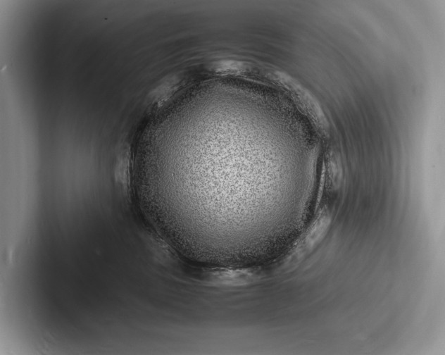 X0000103250379200809111620
