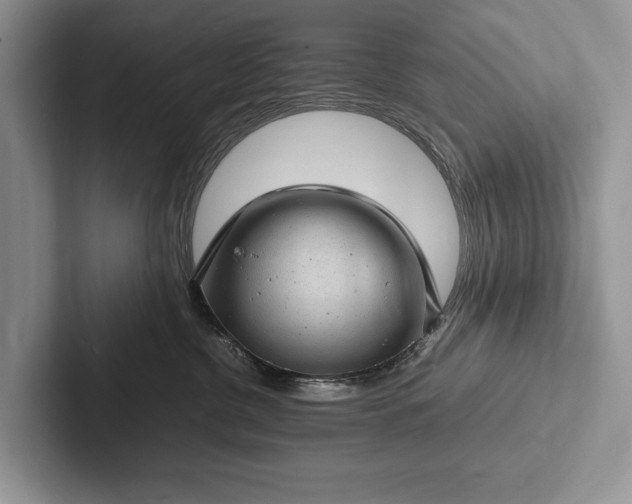 X0000103250380200809111620