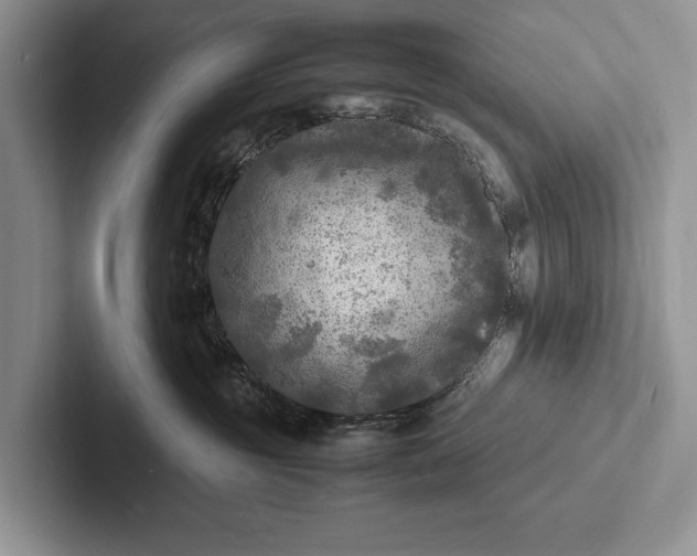X0000103250381200809111620