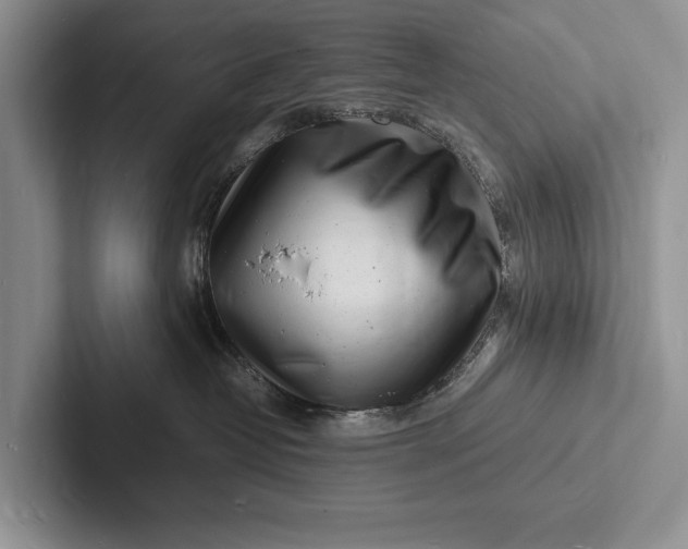 X0000103250382200809111620