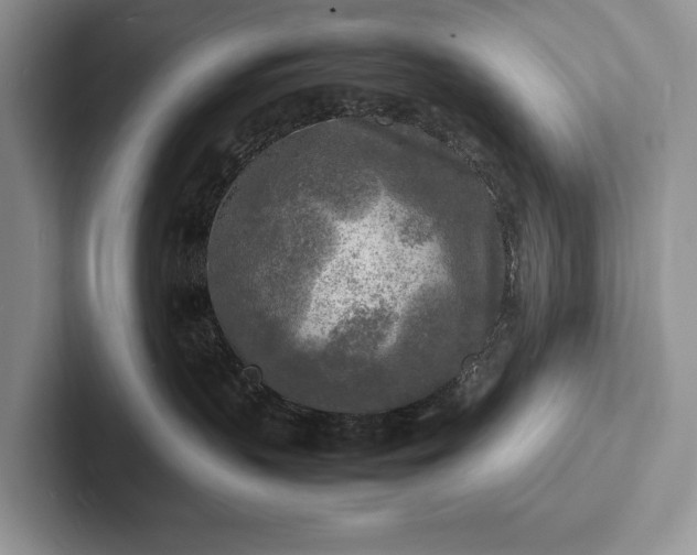 X0000103250383200809111620