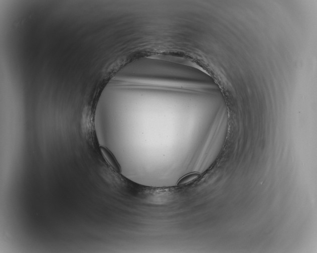 X0000103250384200809111620