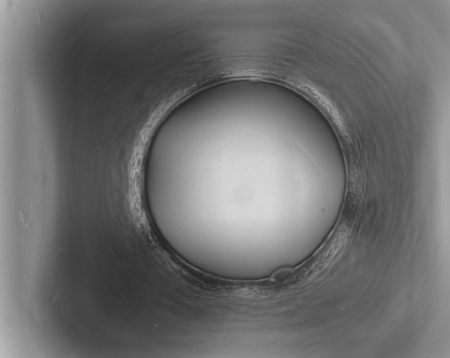 X0000103250385200809111619