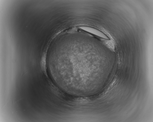 X0000103250386200809111619