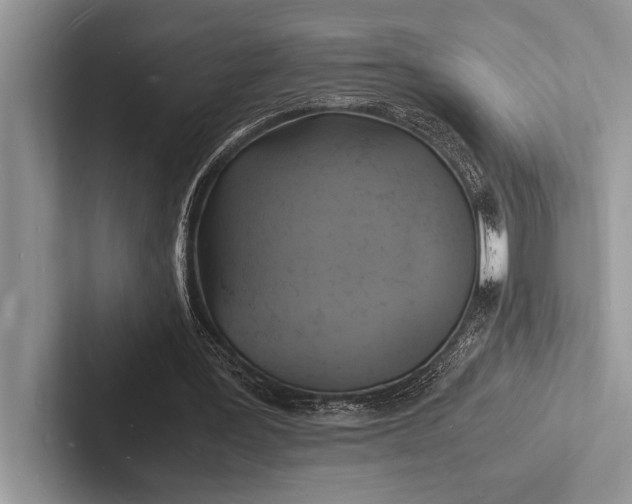 X0000103250387200809111619