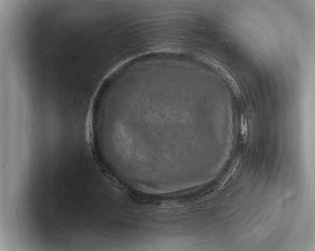 X0000103250388200809111619
