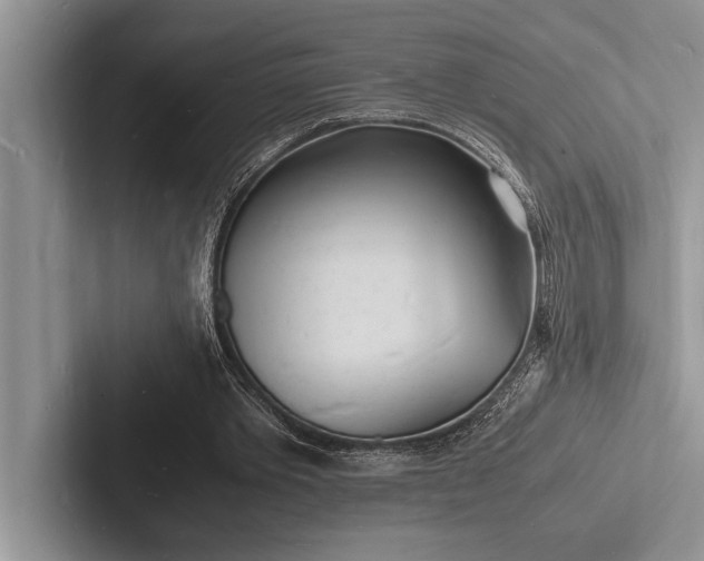 X0000103250389200809111619