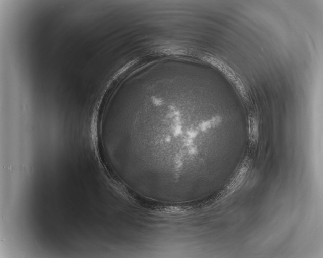 X0000103250390200809111619