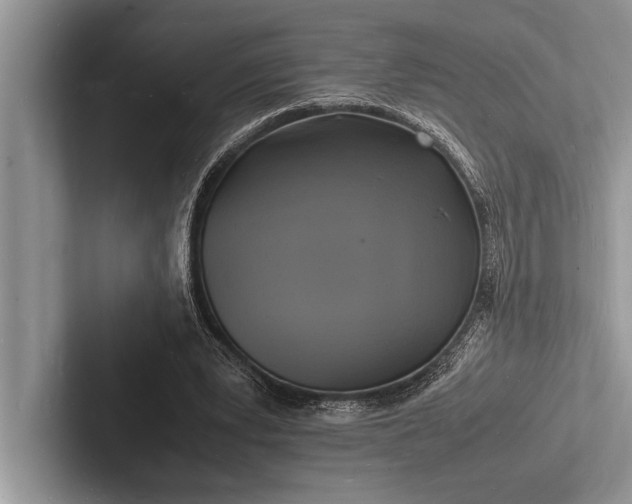 X0000103250391200809111619