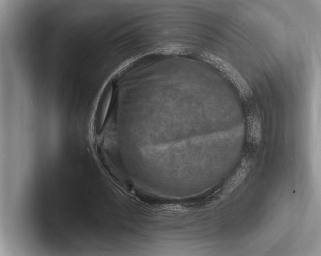 X0000103250392200809111619