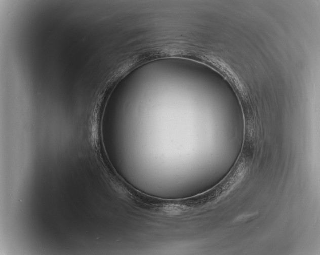 X0000103250393200809111619