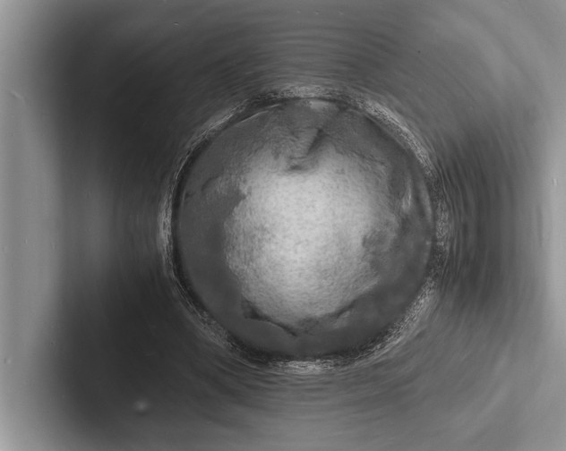 X0000103250394200809111619