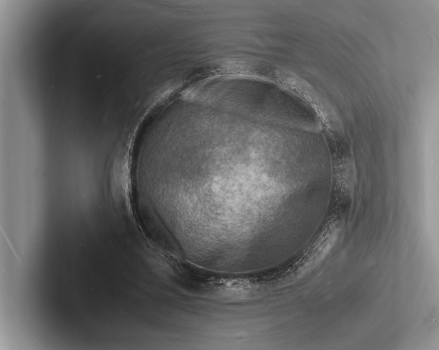 X0000103250395200809111619