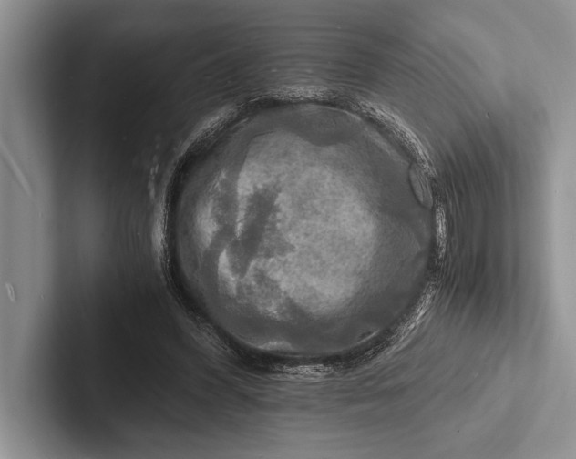 X0000103250396200809111619