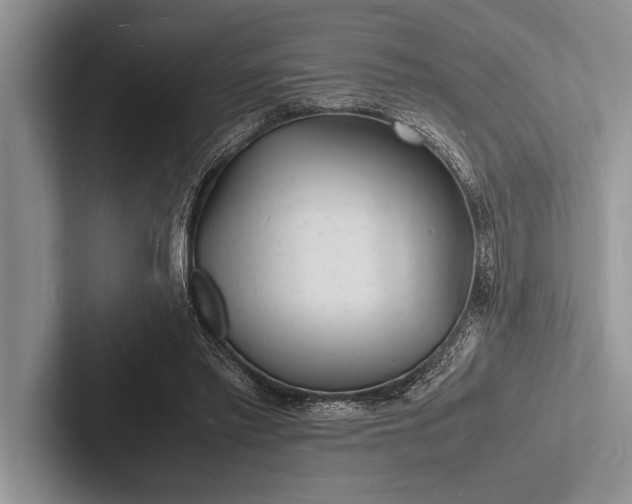 X0000103250397200809111619