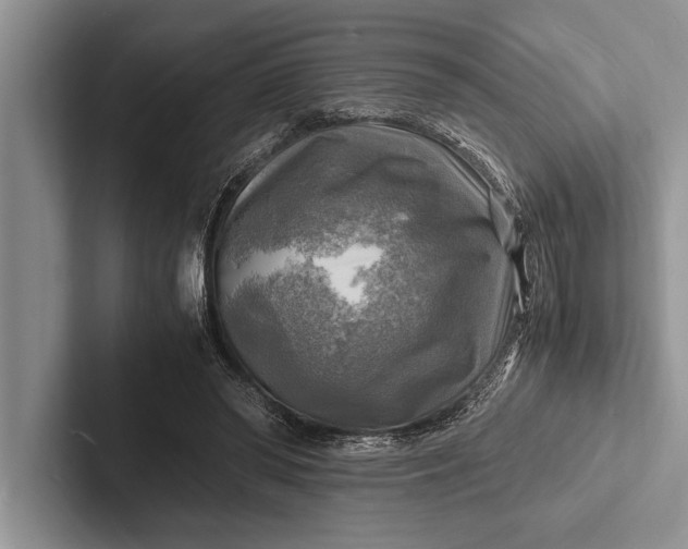 X0000103250398200809111619