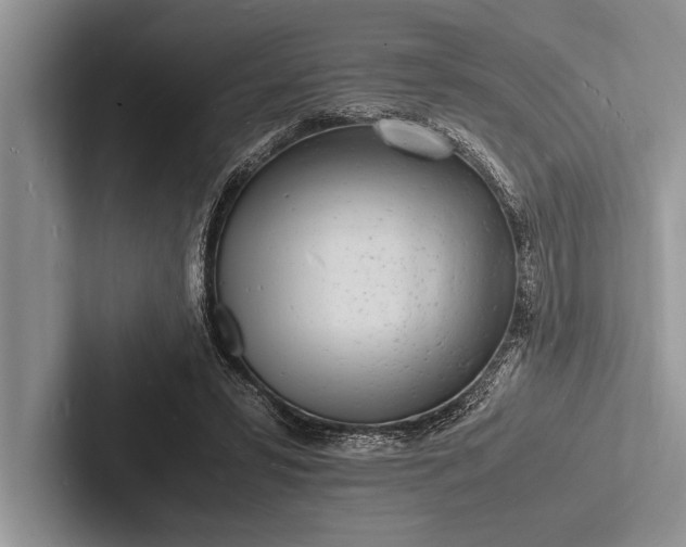 X0000103250399200809111619