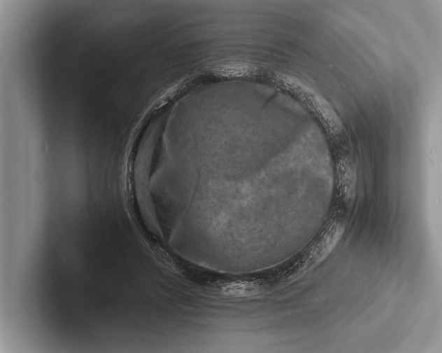 X0000103250400200809111619