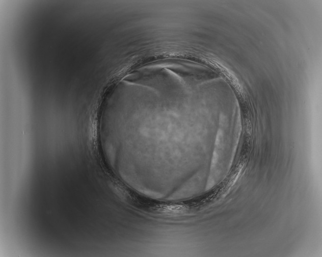 X0000103250401200809111619