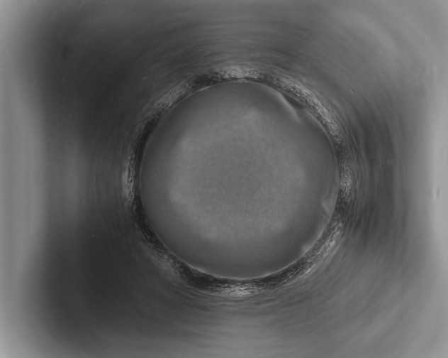 X0000103250402200809111619