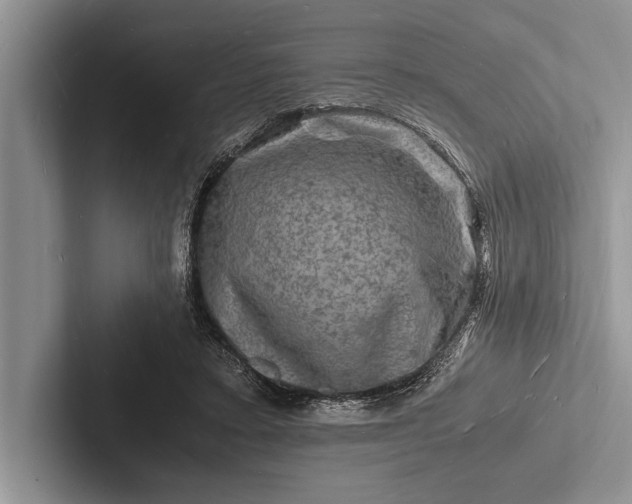 X0000103250403200809111619