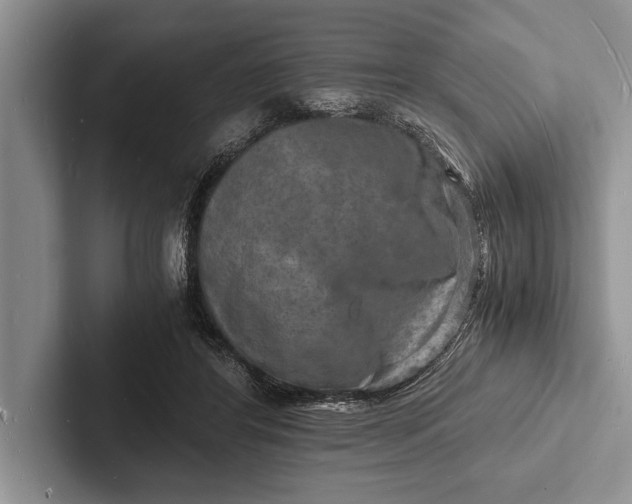 X0000103250404200809111619