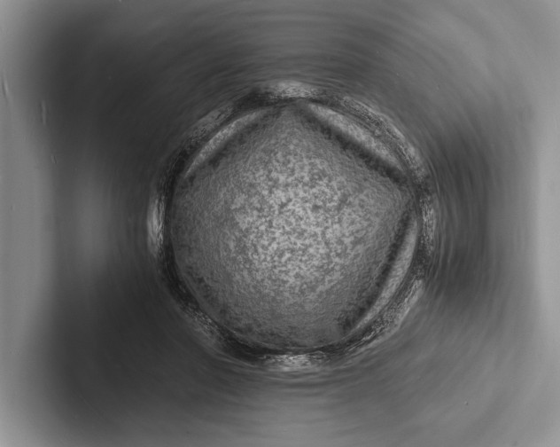 X0000103250406200809111619