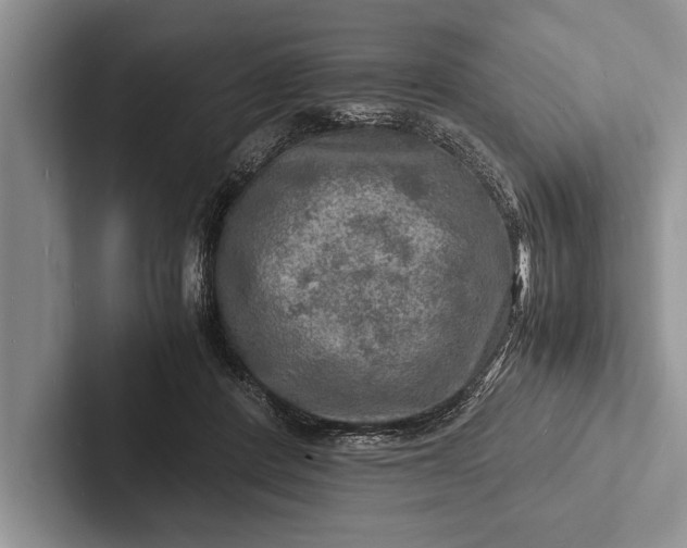 X0000103250408200809111619