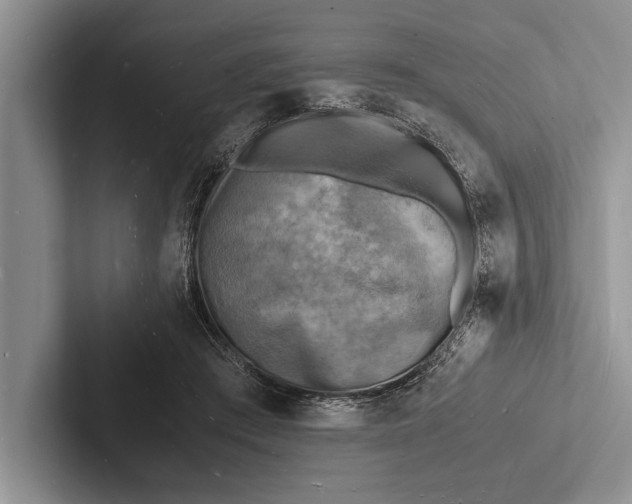 X0000103250409200809111619