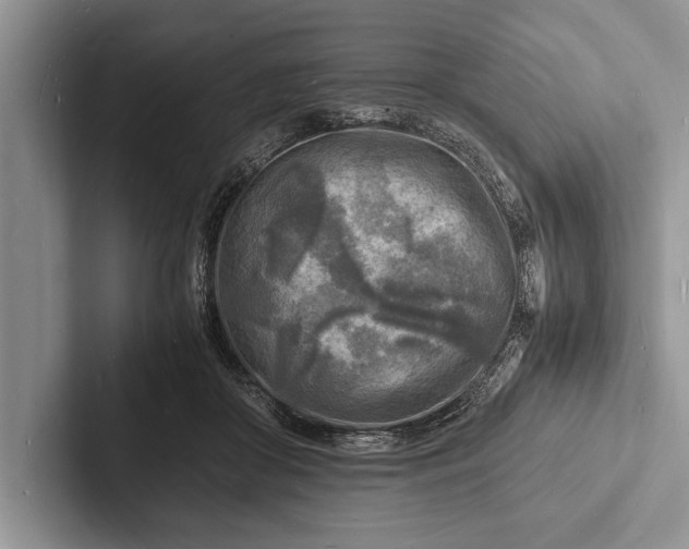 X0000103250410200809111619