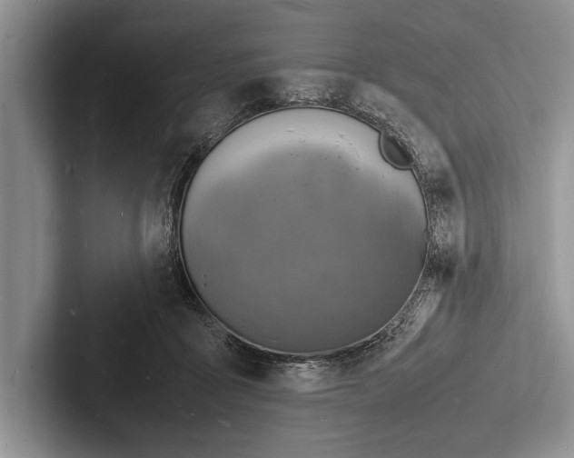 X0000103250411200809111619