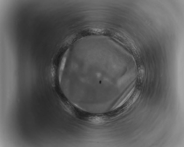 X0000103250412200809111619