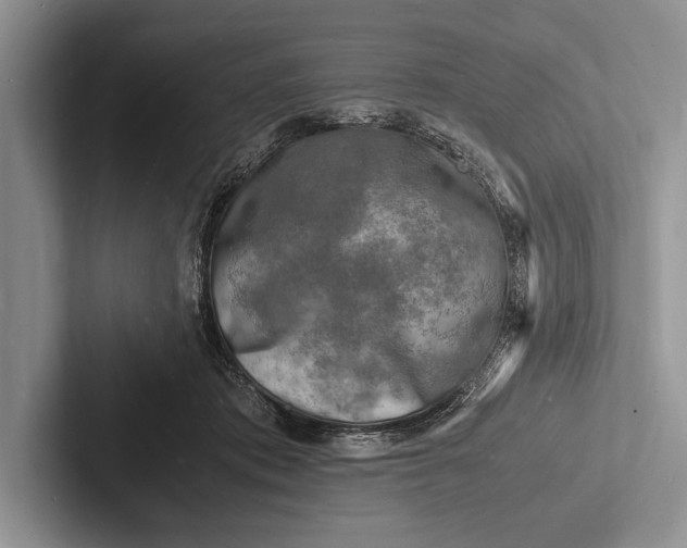 X0000103250413200809111619