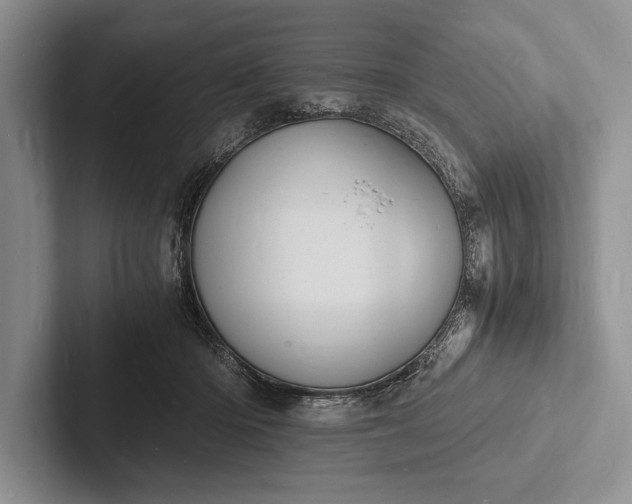X0000103250414200809111619
