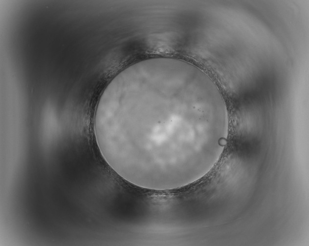 X0000103250415200809111619