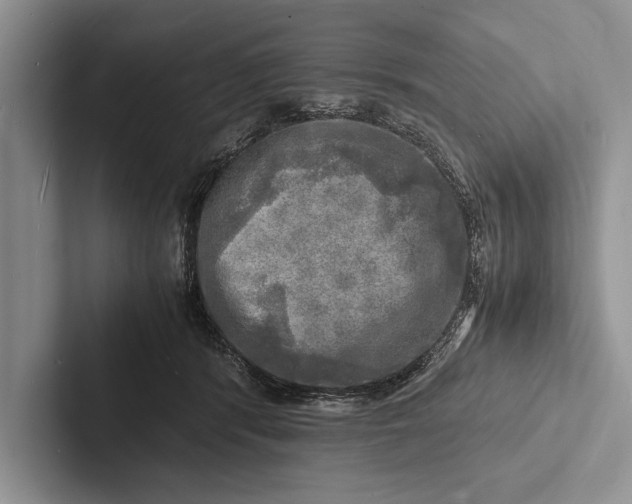 X0000103250416200809111619