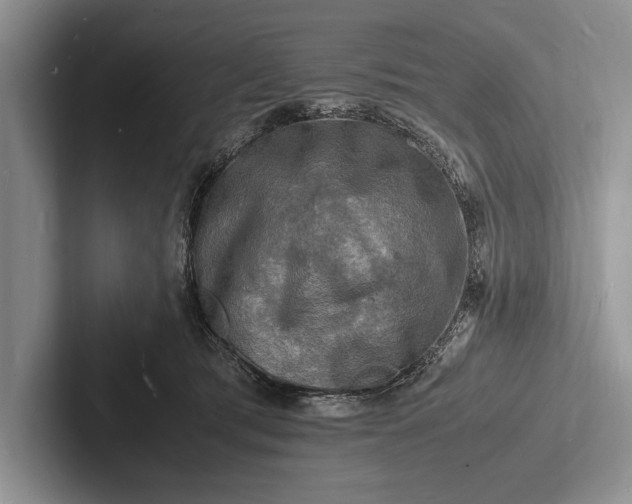 X0000103250417200809111619